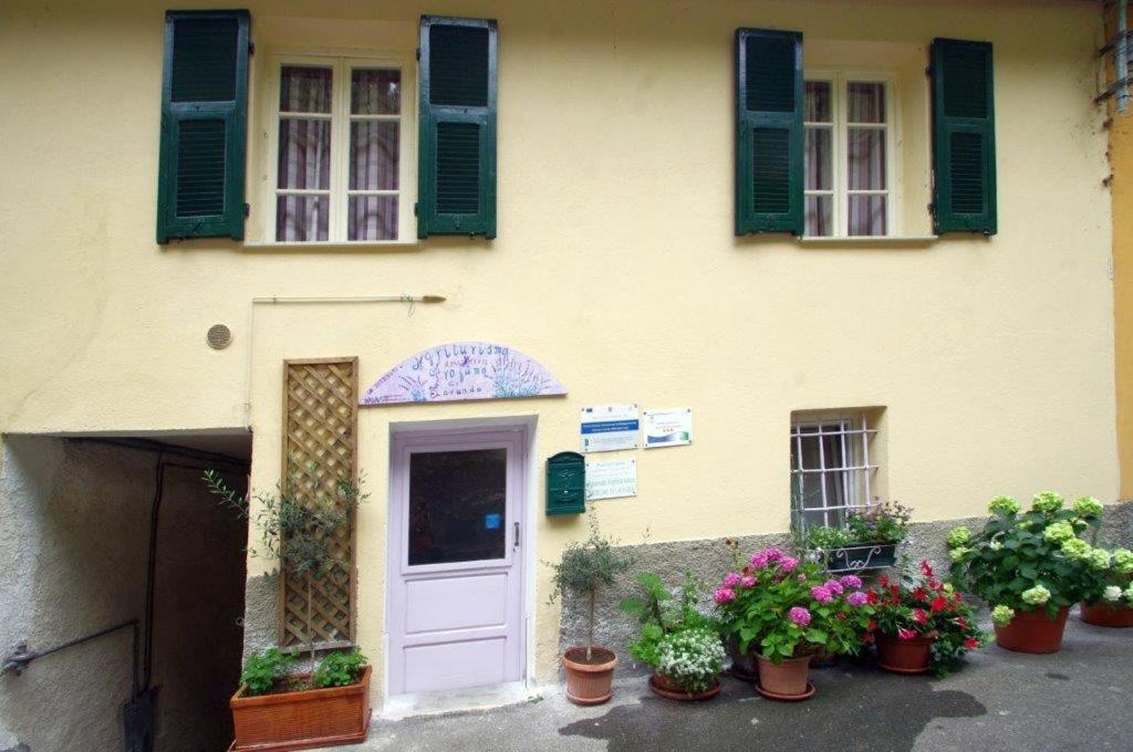 Agriturismo Nonnamelia Nasino Exterior foto